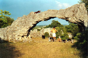 Sur le plateau du Larzac
